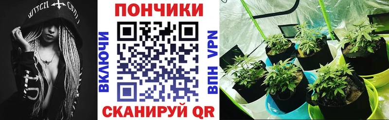 Шишки марихуана Amnesia  магазин продажи   Энем 